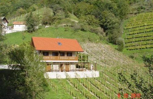 Radece House | Holiday home Baron