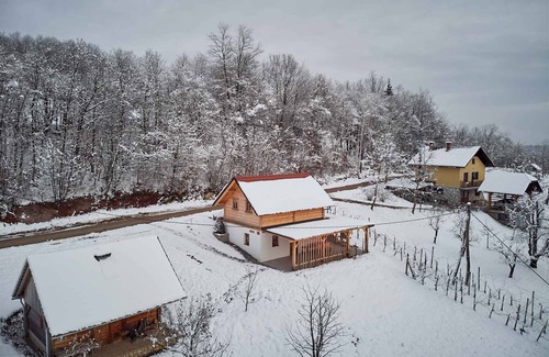 Novo Mesto House | Holiday home beautiful view