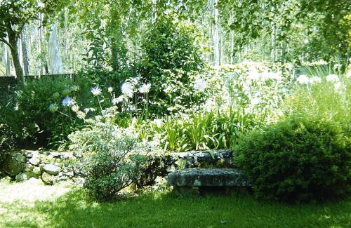 Carreco House | Holiday Home bei Viana do Castelo Carreco - PON03016-F