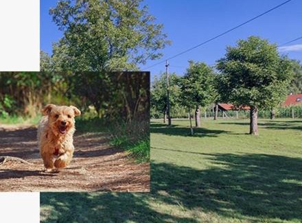 Sisak-Moslavina House | Holiday Home Bojko