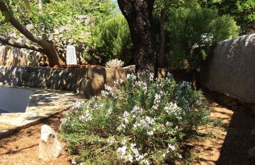 Cesarica House | Holiday Home Cesarica