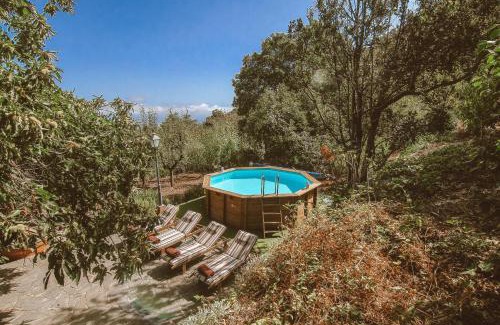 Vega de San Mateo House | Holiday Home Cloty by VillaGranCanaria