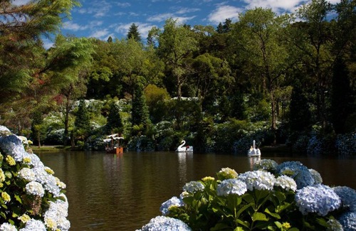 Braganca House | Holiday home for rent in the pearl of Caeté