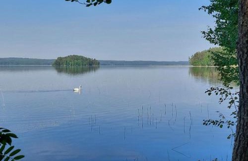 Viitasaari House | Holiday Home Hirsiranta by Interhome