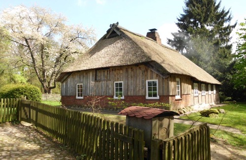 Soderstorf Apartment | Holiday home Hirtenkate Apartment 1