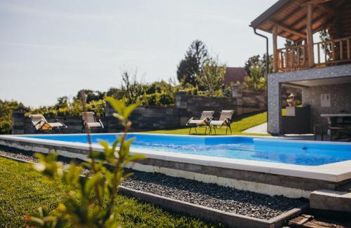 Selnica Villa | Holiday Home Vinola