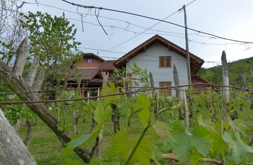 Drasici House | Holiday home in a small village