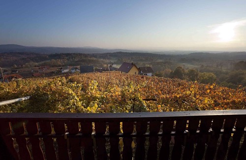 Drasici House | Holiday home in a tranquil setting