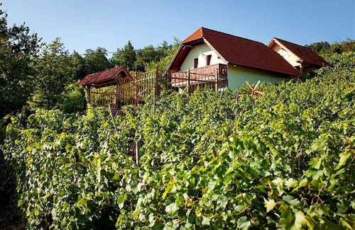 Trska Gora House | Holiday home in a vineyard