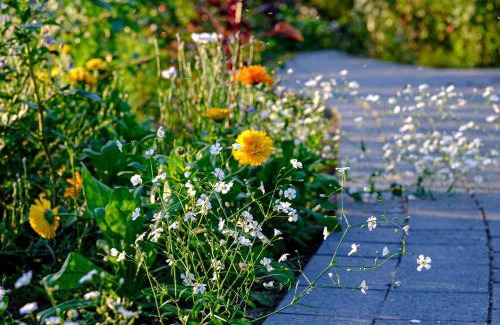 Monkebude House | Holiday home in Altwarp 50009