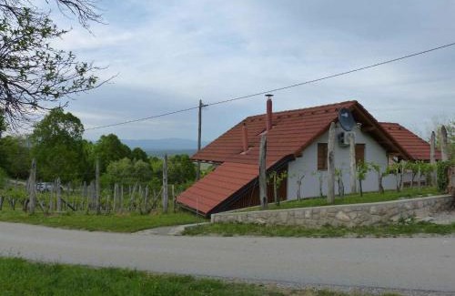 Crnomelj House | Holiday home in Dragatus - Kranjska (Krain) 50798