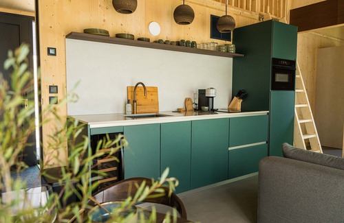 Appelscha House | Holiday Home in Drenthe With Private Pool