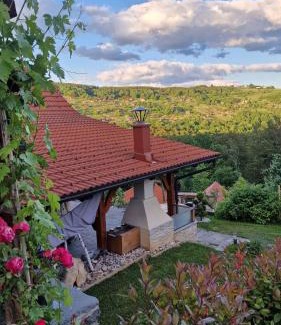 Dvor House | Holiday home in Dvor Kranjska Krain 42901