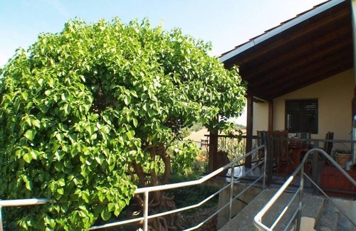 Kukljica House | Holiday Home in Kukljica with Seaview, Terrace, Air condition, WIFI (4572-1)