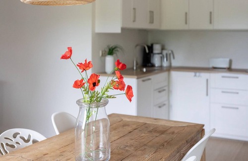 Nes House | Holiday Home in Nes near Vleijen Area
