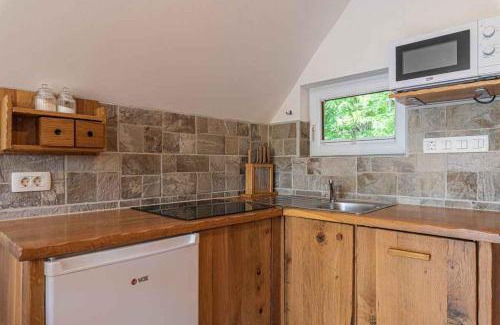Trska Gora Apartment | Holiday home in Novo Mesto - Dolenjska Bela krajina Unter- Weißkrain 35158