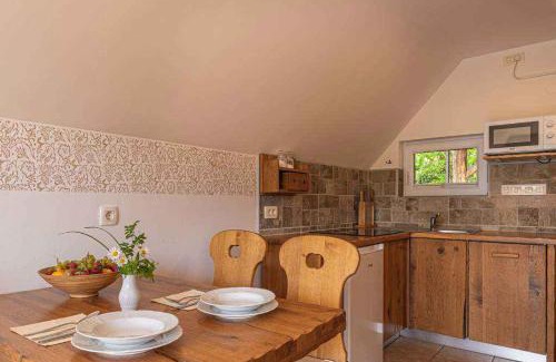 Trska Gora Apartment | Holiday home in Novo Mesto - Dolenjska Bela krajina Unter- Weißkrain 35158