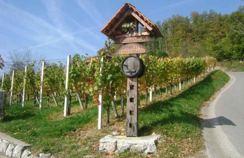 Srednje Grcevje House | Holiday home in Otocec - Kranjska (Krain) 33898