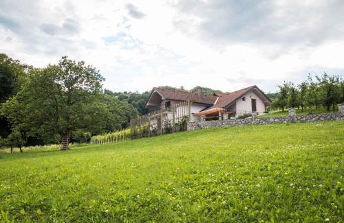 Gorenja Vas pri Smarjeti House | Holiday home in Smarjeske Toplice Kranjska Krain 42904