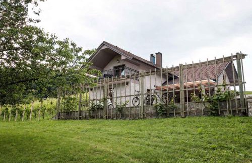 Gorenja Vas pri Smarjeti House | Holiday home in Smarjeske Toplice Kranjska Krain 42904