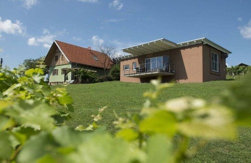 Johnsdorf-Brunn House | Holiday home in the vineyard The Vineyard