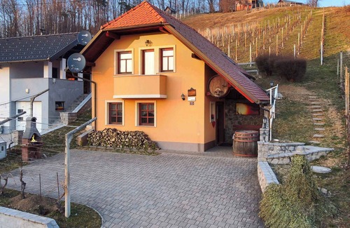 Skocjan House | Holiday home in the vineyards
