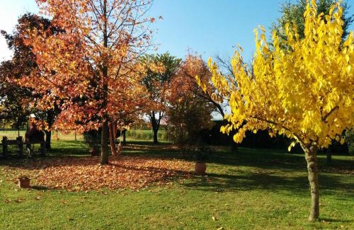 San Fior di Sopra House | Holiday Home La Moranda