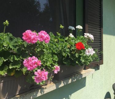Strigova House | Holiday Home Mađerka