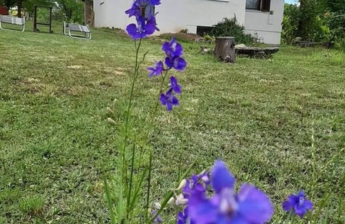 Suza House | Holiday Home Mali Anđeo