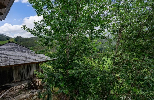 Villayon House | Holiday Home 'Maseda 2' with Mountain View, Shared Terrace and Private Garden