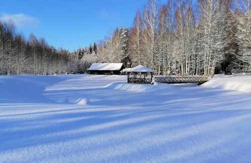 Skangali House | Holiday home Migliņas