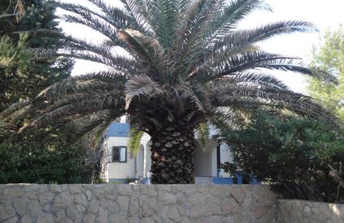 Susica House | Holiday Home Mirna