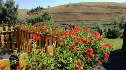 Moldava House | Holiday Home Moldava
