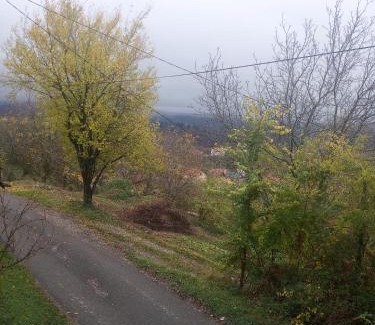 Breznik Plesivicki House | Holiday Home Nature Plesivica