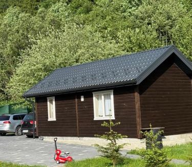 Lviv Oblast House | Holiday Home Near FOREST