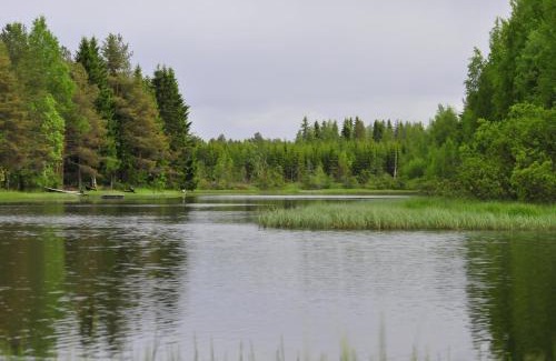 Kajaani Apartment | Holiday Home Nelli