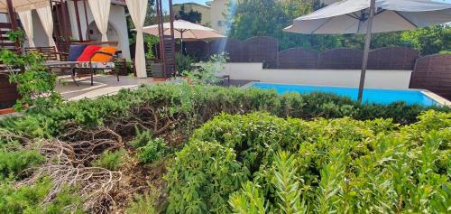 Gradac House | Holiday home Olive