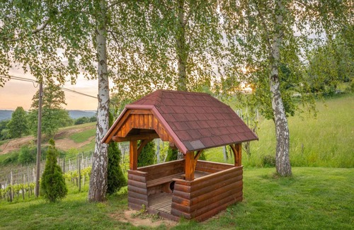 Cesnjice pri Trebelnem House | Holiday home on the vineyard hill near Trebnje