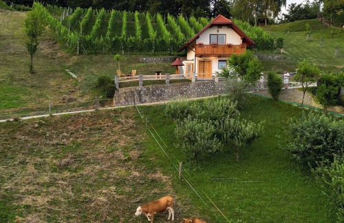 Cesnjice pri Trebelnem House | Holiday home on the vineyard hill near Trebnje