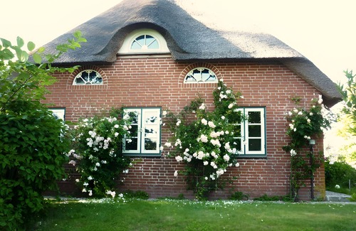 Neukirchen/Erzgeb House | Holiday Home 'Osterdeich' with Private Terrace, Private Garden and Wi-Fi