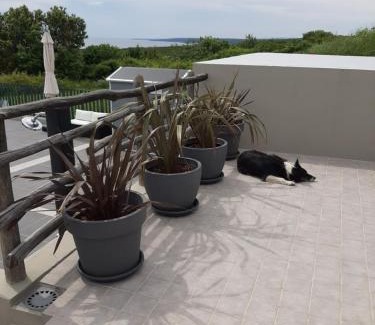 Belej House | Holiday home Plat CX
