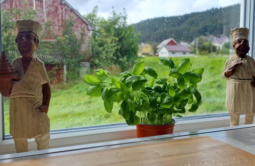 Heroy House | Holiday home Soltun what more could you ask for!