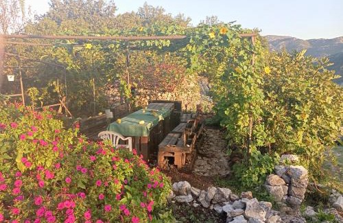 Karuc House | Holiday Home Sofia