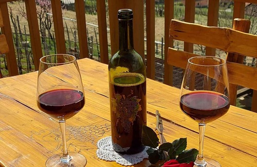 Novo Mesto House | Holiday home Stopar vineyard