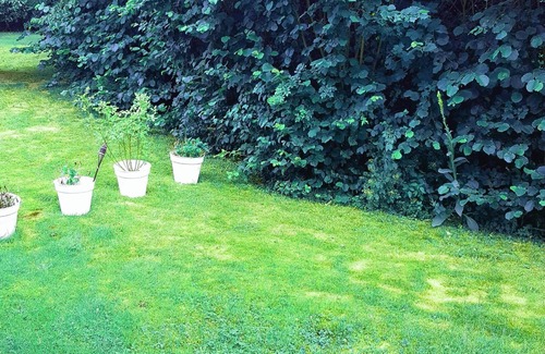 Ferienpark Himmelberg House | Holiday home Thalfang am Erbeskopf