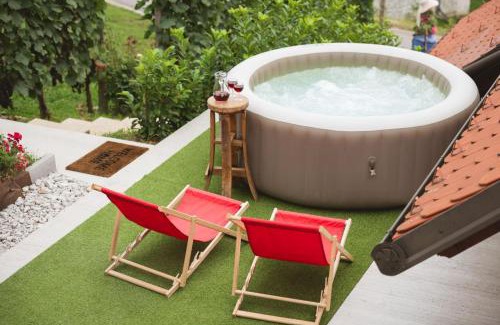 Skocjan House | Holiday Home Tramte In Vineyards - Happy Rentals