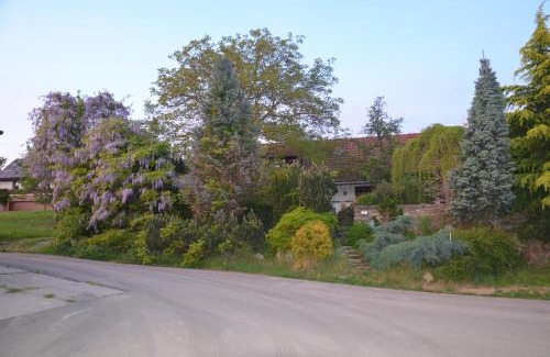 Kralice nad Oslavou House | Holiday Home U Černých Ovcí