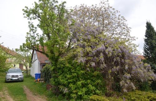 Kralice nad Oslavou House | Holiday Home U Černých Ovcí