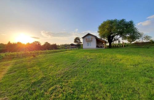 Kutjevo House | Holiday home Vinovilla