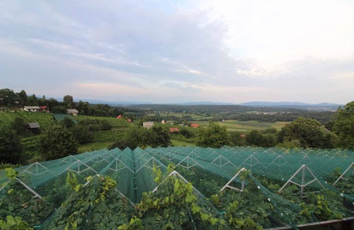 Crnomelj House | Holiday home Winery with internet